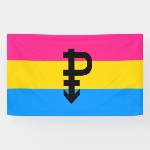 Pansexual Pride Flag Banner