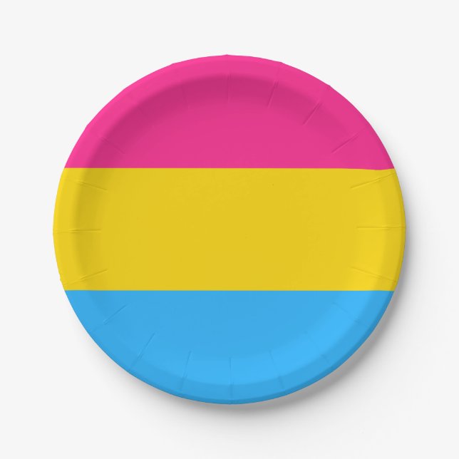 Pansexual Pride Flag LGBTQ Paper Plates (Front)