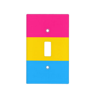 Pansexual Pride Flag Light Switch Cover