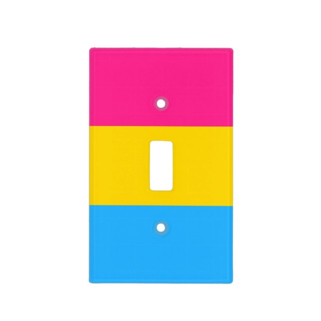 Pansexual Pride Flag Light Switch Cover (Front)