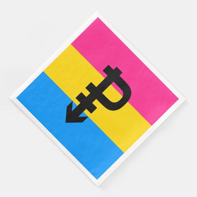 Pansexual Pride Flag Paper Dinner Napkins (Corner)