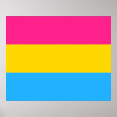 Pansexual Pride Pan Flag Poster