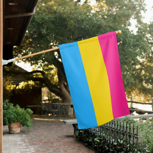 Pansexual Pride (Pan) House Flag (In SItu)