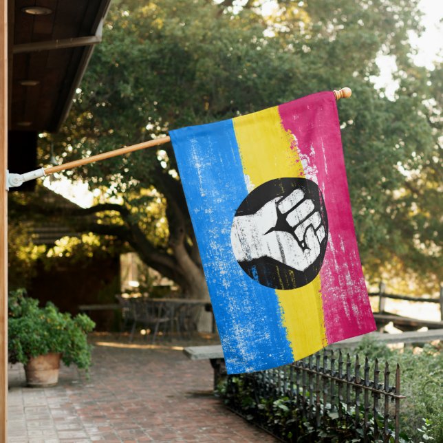 Pansexual Pride Protest Flag (In SItu)