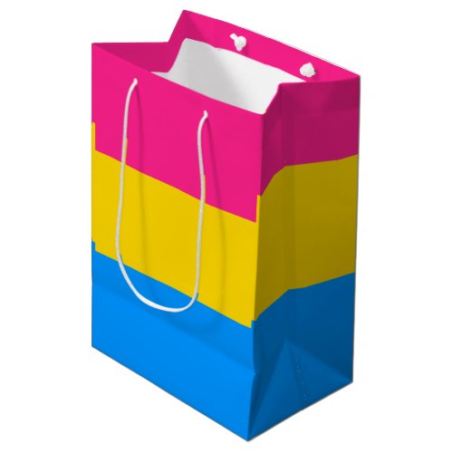 Pansexual Pride Stripes Medium Gift Bag