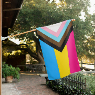 Pansexual Progress Pride Flag