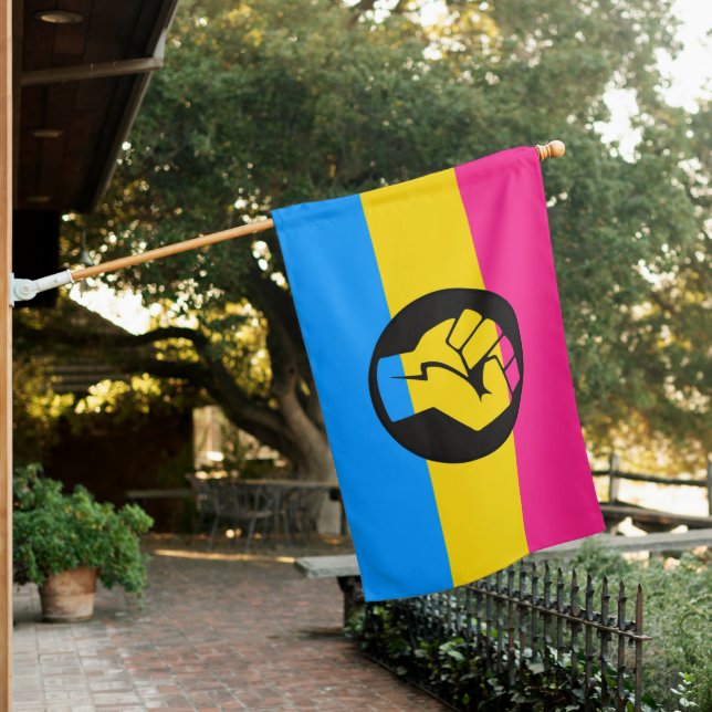 Pansexual Protest House Flag (In SItu)