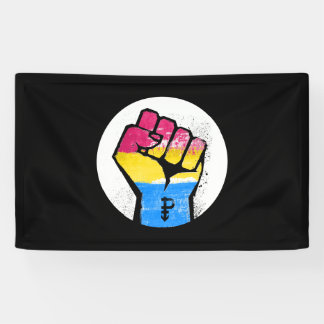 PANSEXUAL RESISTANCE AND SYMBOL - BANNER