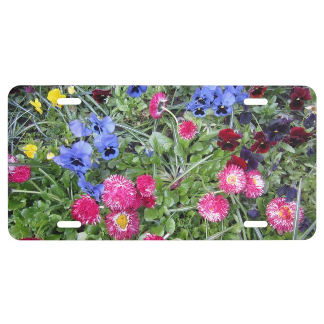 Pansies and Daisies License Plate (Front)