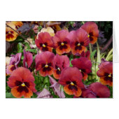 Pansies Card for you! (Front Horizontal)