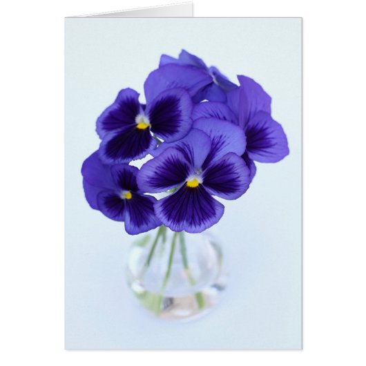 Pansies Cards (Front)
