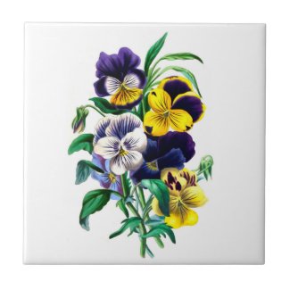 Pansies Ceramic Tile