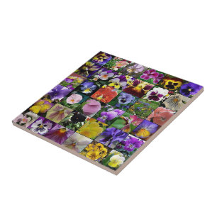 Pansies Ceramic Tile