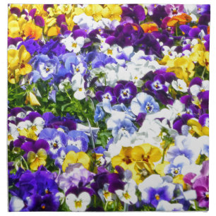 Pansies Cloth Napkin