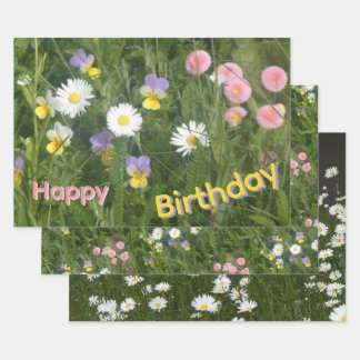 Pansies, Daisies & Flowers Wrapping Paper Sheets