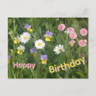 Pansies, Daisies & Pink Flowers Birthday Postcard