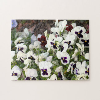 Pansies Flowers Puzzle