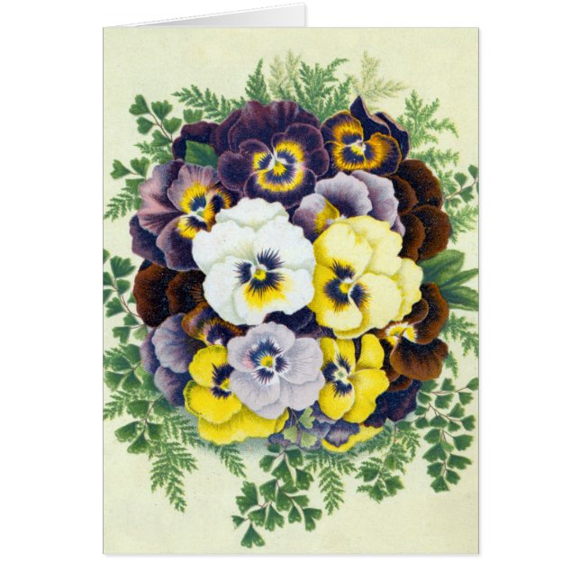 Pansies Greeting Card (Front)