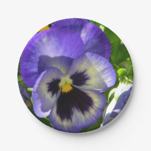 Pansies Life Paper Plates