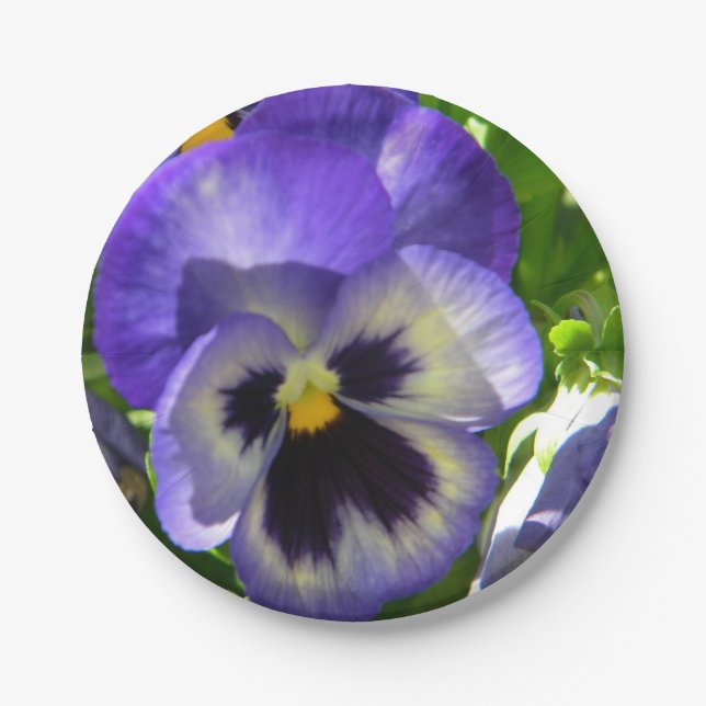 Pansies Life Paper Plates (Front)