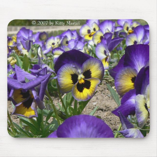 Pansies on Parade Mouse Pad (Front)