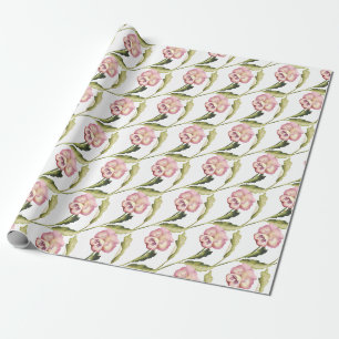 Pansies pattern on White Background Wrapping Paper