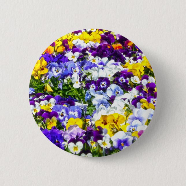 Pansies Pinback Button (Front)
