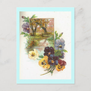 pansies postcard