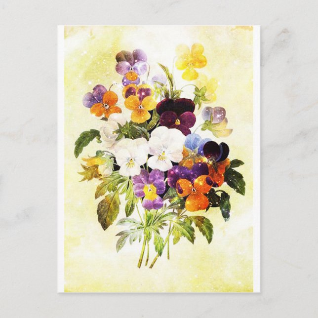 Pansies Postcard (Front)