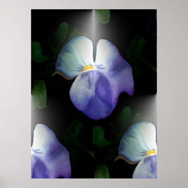 Pansies Poster (Front)