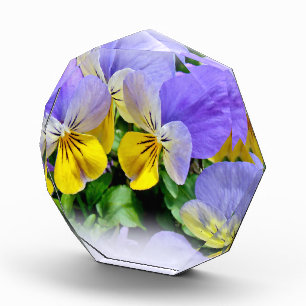 Pansies - Purple and Yellow Acrylic Award