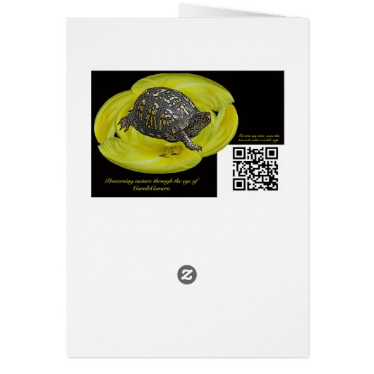 Pansies - Purple and Yellow - Congratulations (Back)