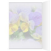 Pansies - Purple and Yellow - Congratulations (Inside (Left))