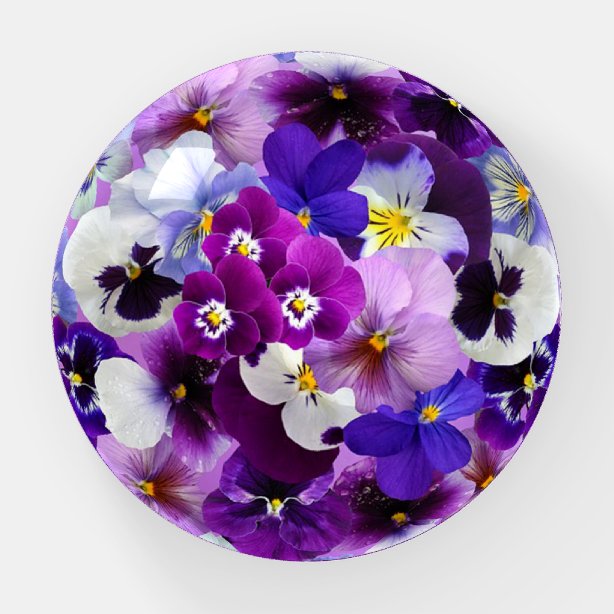Personalized Pansy Gifts on Zazzle
