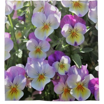 Pansies Shower Curtain by StoneRhythms at Zazzle