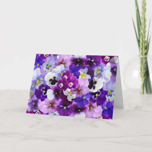 Pansies Spring Flowers Blank Greeting Card (Front)