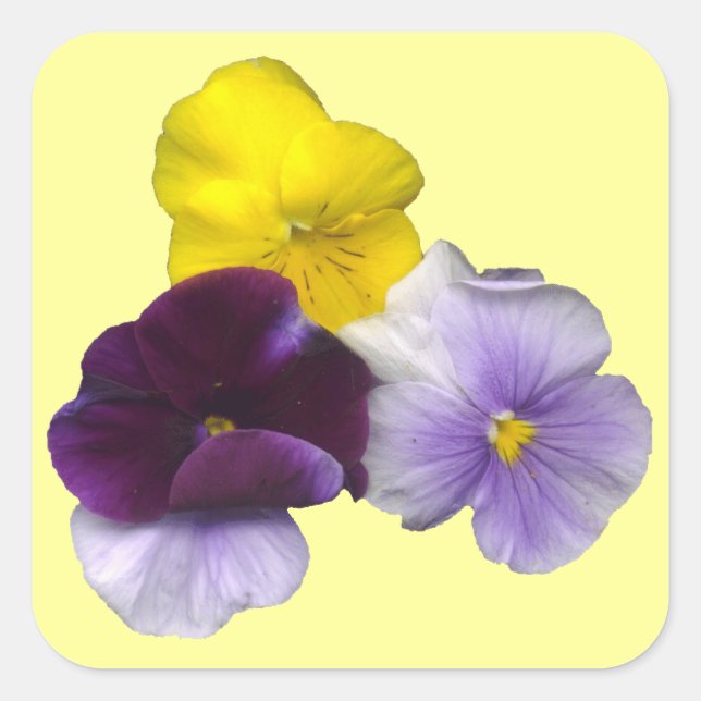 Pansies Stickers (Front)