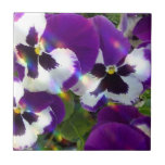 Pansies  Tiles or Trivets