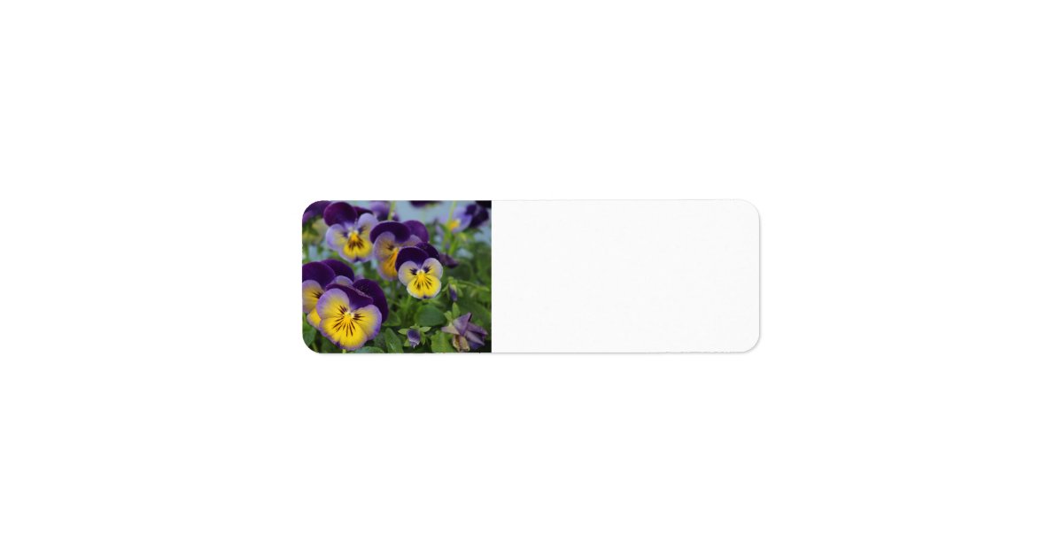 Pansy address label Zazzle