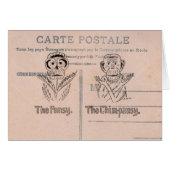 Pansy and Chimp Humor (Front Horizontal)