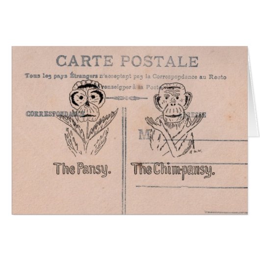 Pansy and Chimp Humor Cards (Front Horizontal)