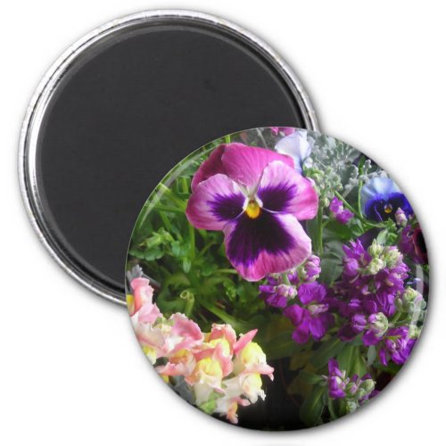 Pansy and friends Magnet