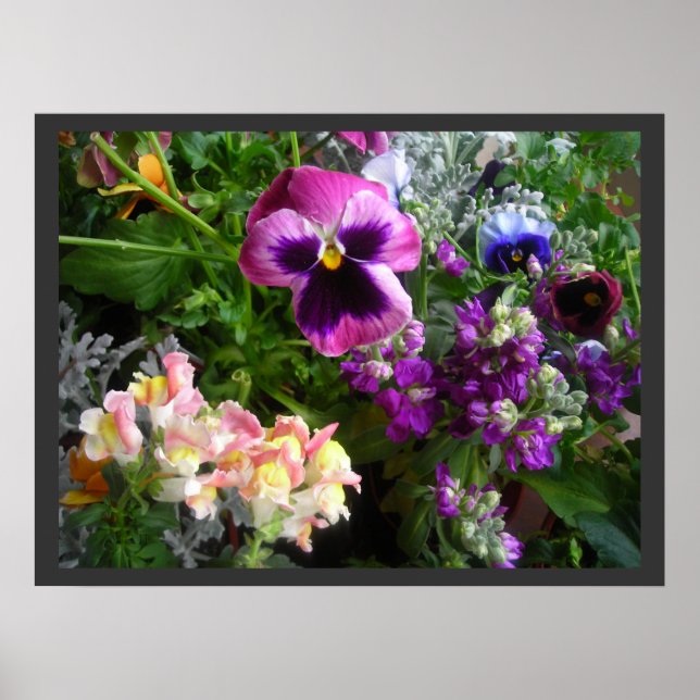 Pansy and Friends Poster (Front)