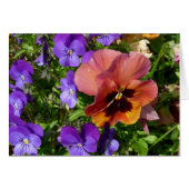 Pansy and Violets Card (Front Horizontal)