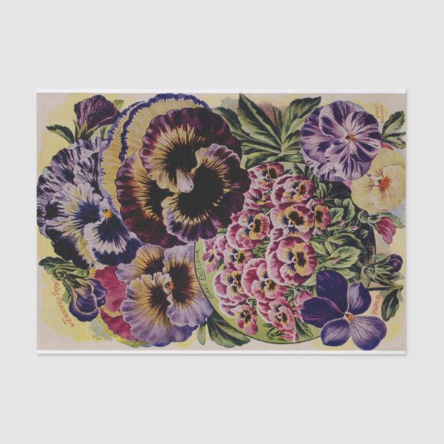 Pansy Antique Varieties Garden Tissue Paper (Front)