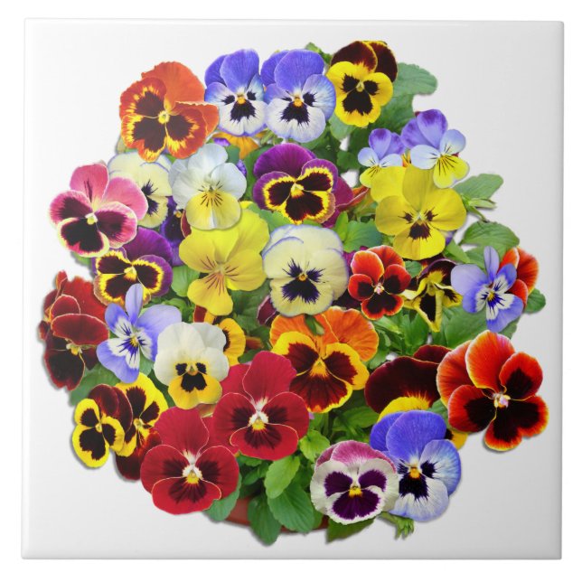 Pansy Arrangement Ceramic Tile (Front)