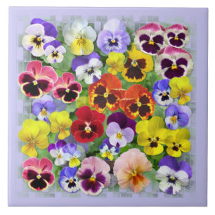 Pansy Beauty Ceramic Tile