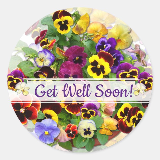 PANSY BEAUTY  Get Well Soon Classic Round Sticker (Front)