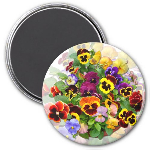 PANSY BEAUTY MAGNET
