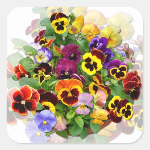 PANSY BEAUTY Square  Stickers